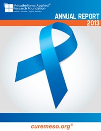 Annual Report 2013