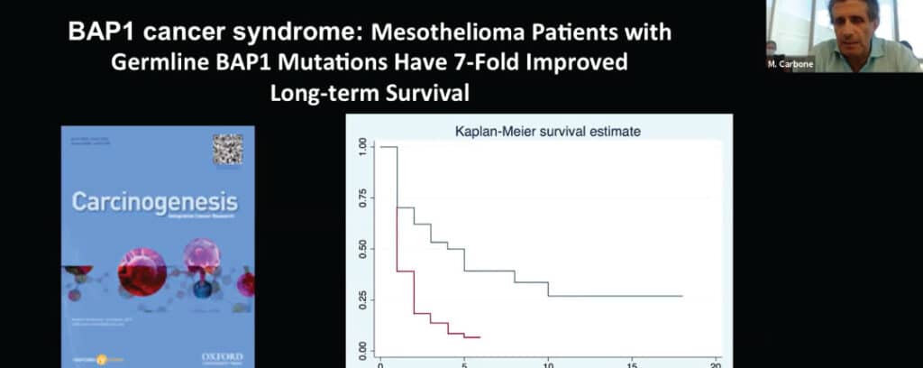 Bap1 Gene Archives Mesothelioma Applied Research Foundation